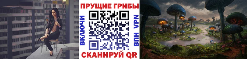 hydra как войти Александров Галлюциногенные грибы Magic Shrooms