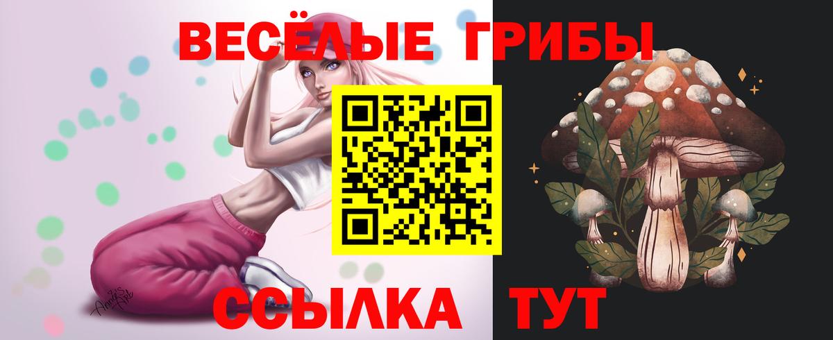Галлюциногенные грибы ЛСД Александров