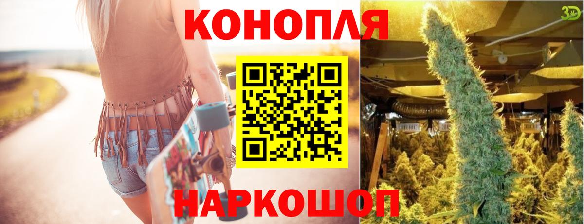 Бошки Шишки семена  Вход с VPN  Каннабис ГИДРОПОН  Александров  МАРИХУАНА планчик 